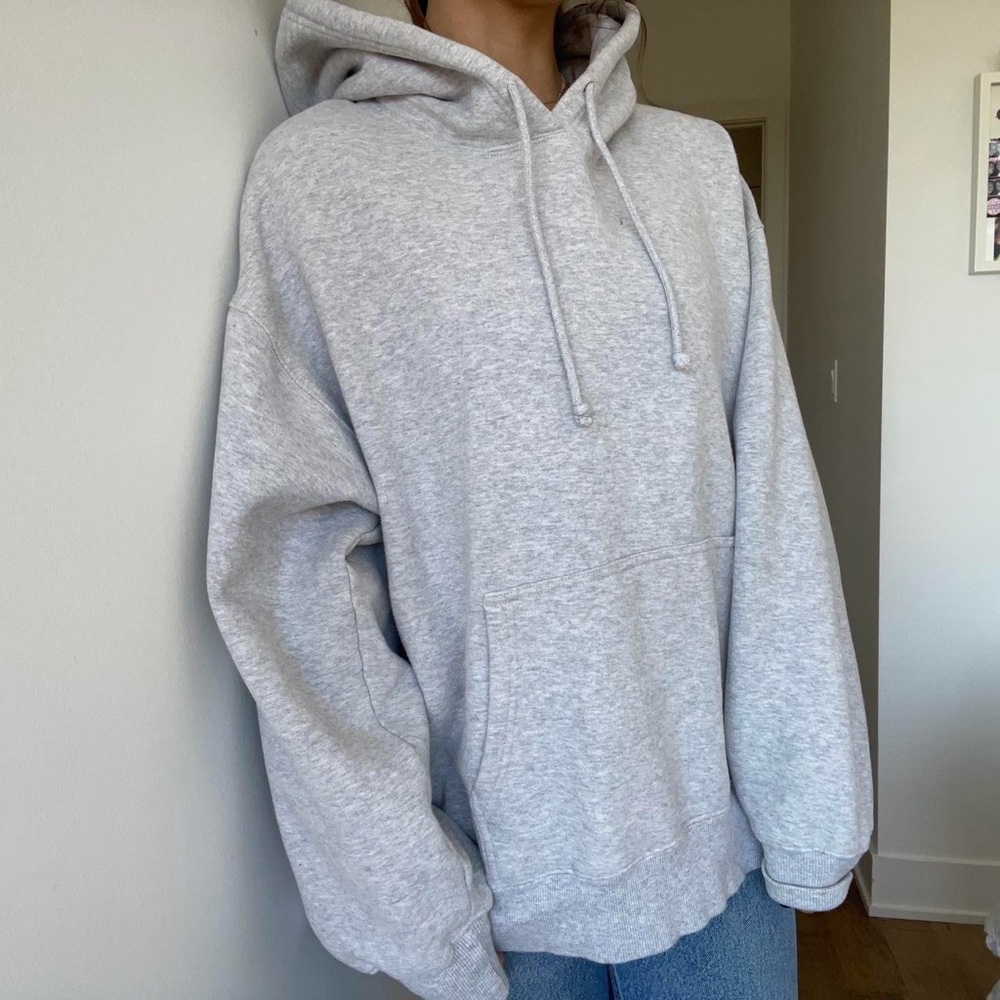 Gray Aritzia Hoodie